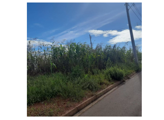 Imagem de compartilhamento para o artigo Chapadão do Sul convoca população para limpeza de terrenos baldios da MS Todo dia